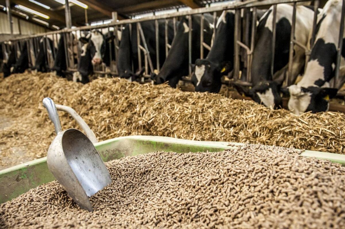 produits vétérinaires éleveurs agricoles